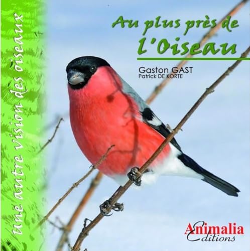 Stock image for Au plus prs de l'oiseau for sale by medimops