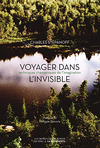 9782359251586: Voyager dans l'invisible: Techniques chamaniques de l'imagination