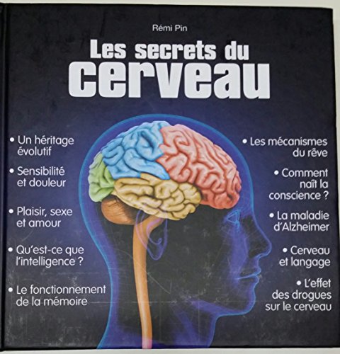 Beispielbild fr Les secrets du cerveau zum Verkauf von Ammareal