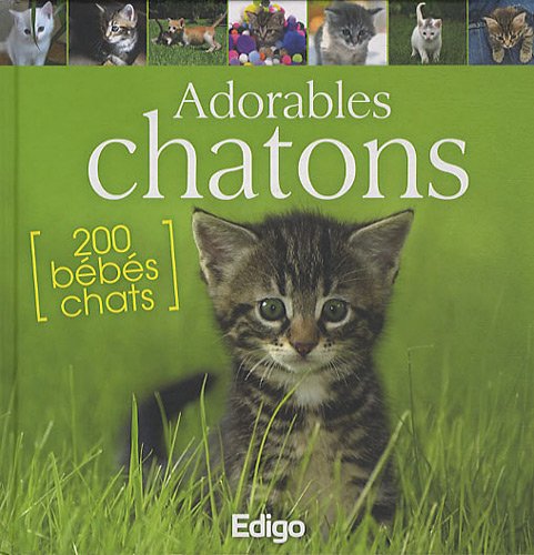 Stock image for Adorables chatons for sale by Ammareal