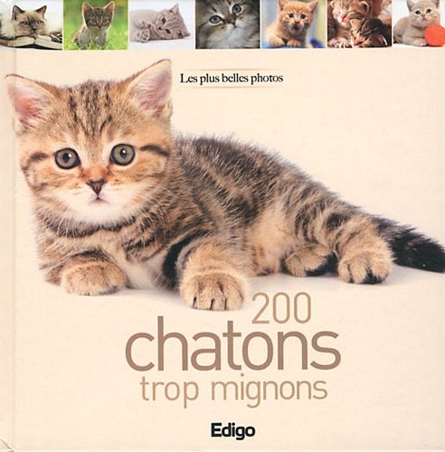 Beispielbild fr 200 chatons trop mignons : Les plus belles photos zum Verkauf von Ammareal