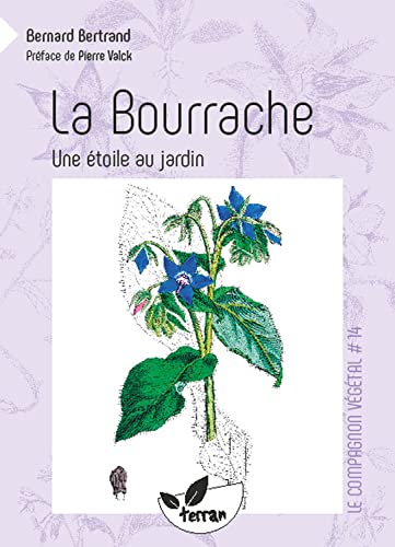 Beispielbild fr La bourrache, une toile au jardin ! zum Verkauf von Revaluation Books