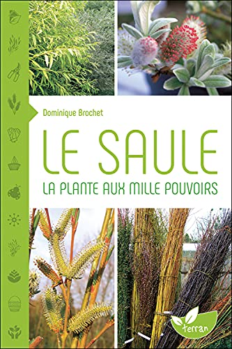 Beispielbild fr Le Saule - La plante aux mille pouvoirs zum Verkauf von Gallix