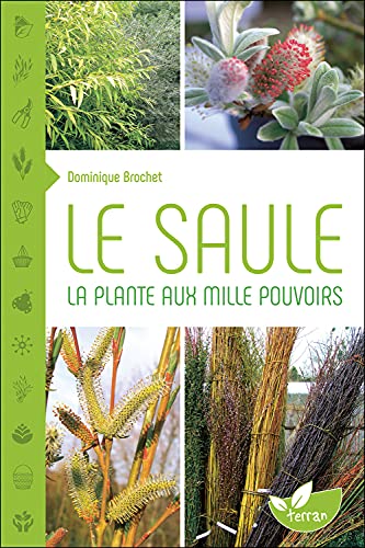 9782359810561: Le Saule - La plante aux mille pouvoirs