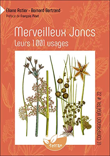 Beispielbild fr Merveilleux Joncs : Leurs 1001 usages zum Verkauf von Revaluation Books