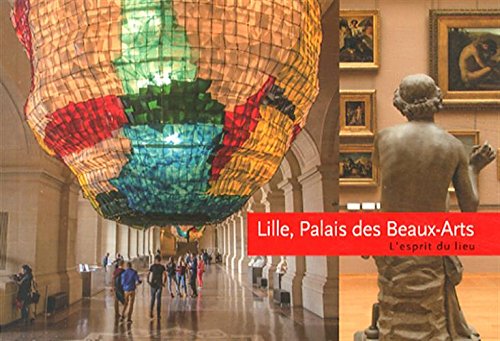 Stock image for Lille, Palais des Beaux-Arts for sale by medimops