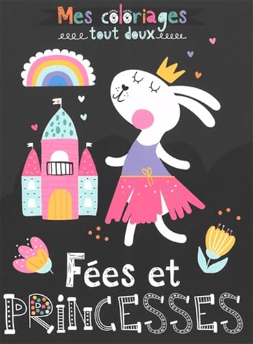 Stock image for Fes et princesses for sale by medimops