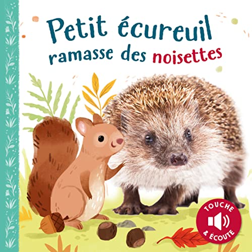 Stock image for PETIT CUREUIL RAMASSE DES NOISETTES for sale by WorldofBooks