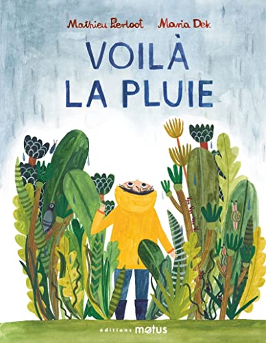 Stock image for Voil La Pluie for sale by RECYCLIVRE