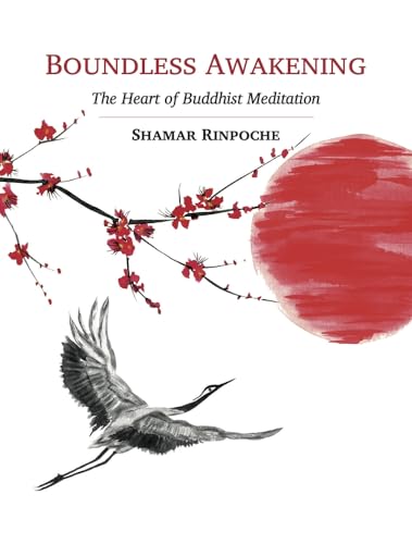 Stock image for Boundless Awakening: The Heart of Buddhist Meditation for sale by HPB-Ruby
