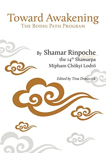 Stock image for A Path of Practice: The Bodhi Path Program for sale by HPB-Red