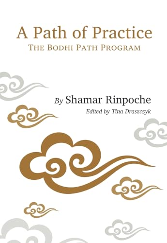 Stock image for A Path of Practice: The Bodhi Path Program for sale by HPB-Red