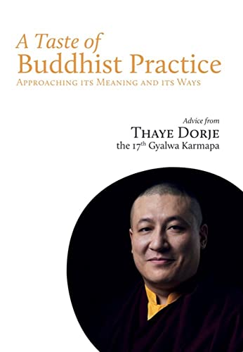 Stock image for A Taste of Buddhist Practice: Approaching its Meaning and Its Ways for sale by AwesomeBooks