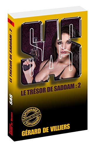 9782360536078: SAS 164 Le trsor de Saddam - tome 2 (2)