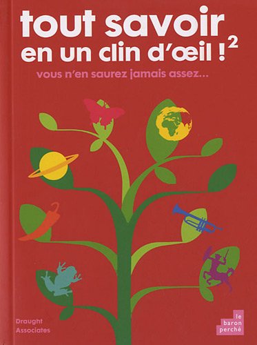 Stock image for Tout savoir en un clin d'oeil 2 for sale by Ammareal