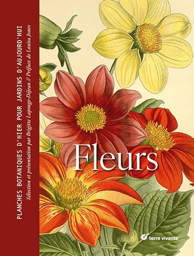 Beispielbild fr Fleurs: Planches botaniques d'hier pour jardins d'aujourd'hui zum Verkauf von Gallix