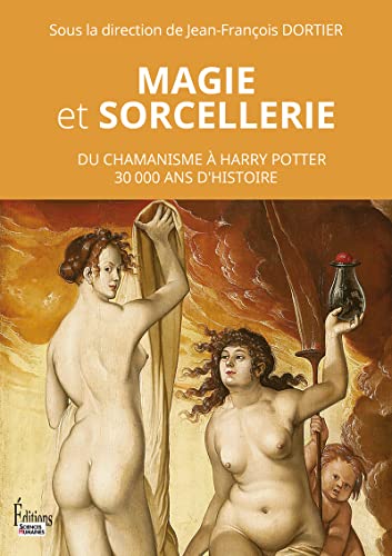 Imagen de archivo de Magie et sorcellerie - Du Chamanisme  Harry Potter 30 000 ans d'histoire a la venta por medimops