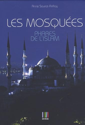 9782361120009: Les mosques: Phares de l'islam