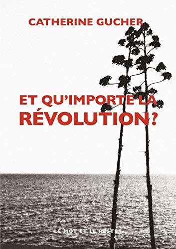 Beispielbild fr Et qu'importe la rvolution ? zum Verkauf von medimops