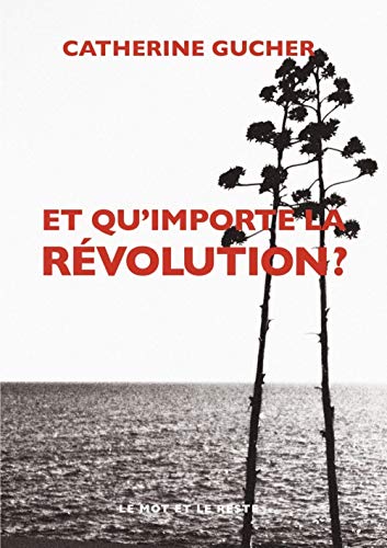 Stock image for Et qu'importe la rvolution ? for sale by Librairie Th  la page