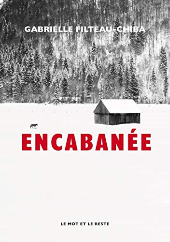 Stock image for Encabane for sale by RECYCLIVRE