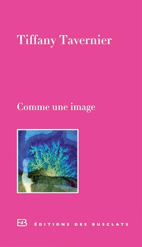 9782361660284: Comme une image