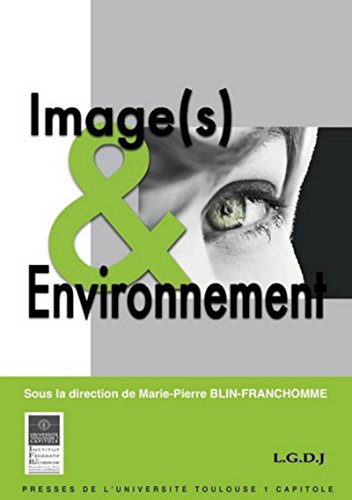 9782361700348: IMAGE(S) ET ENVIRONNEMENT: SOUS LA DIRECTION DE MARIE-PIERRE BLIN-FRANCHOMME