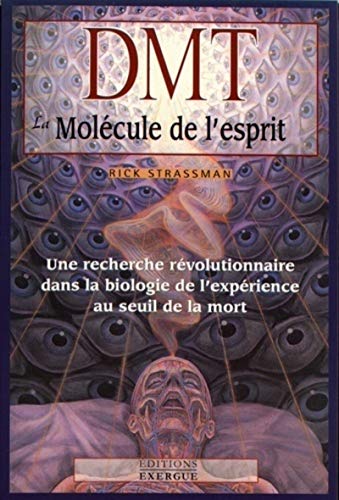 Imagen de archivo de DMT la molcule de l'esprit : Une recherche rvolutionnaire dans la biologie de l'exprience au seuil de la mort a la venta por medimops