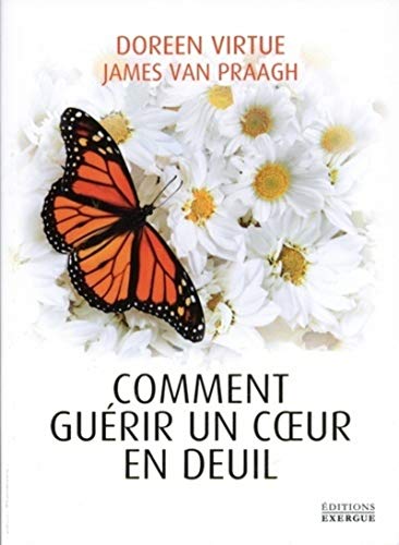 Stock image for Comment gurir un coeur en deuil for sale by medimops