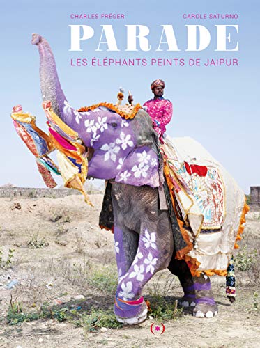 Beispielbild fr Parade : Les lphants Peints De Jaipur zum Verkauf von RECYCLIVRE