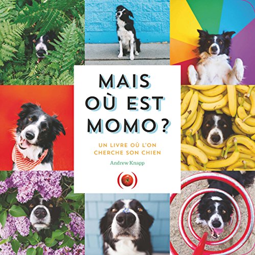 Beispielbild fr Mais o est Momo?: Un livre o l'on cherche son chien zum Verkauf von medimops