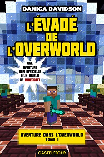 Stock image for L'vad de l'Overworld: Minecraft - Aventure dans l'Overworld, T1 for sale by medimops