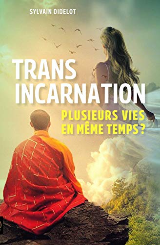 Beispielbild fr Transincarnation: Plusieurs vies en mme temps ? [Broch] Didelot, Sylvain zum Verkauf von BIBLIO-NET