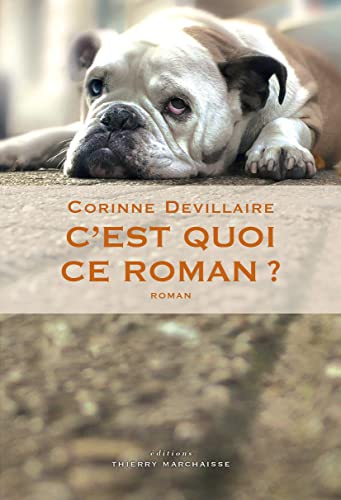 9782362800450: C'est quoi ce roman ?