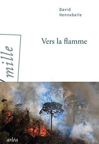 Beispielbild fr Vers la flamme zum Verkauf von medimops