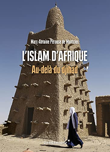 Beispielbild fr L'Islam D'Afrique - Au Dela Du Djihad zum Verkauf von Gallix