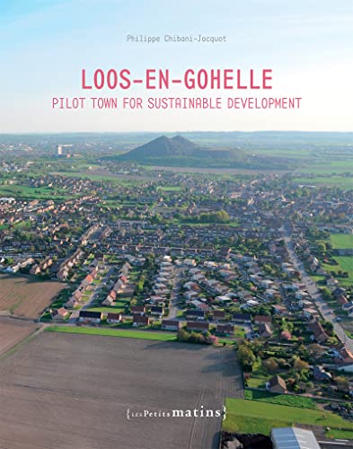 Stock image for Loos-en-Gohelle. Pilot town for sustainable development for sale by WorldofBooks