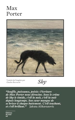 Stock image for Shy for sale by LIVREAUTRESORSAS