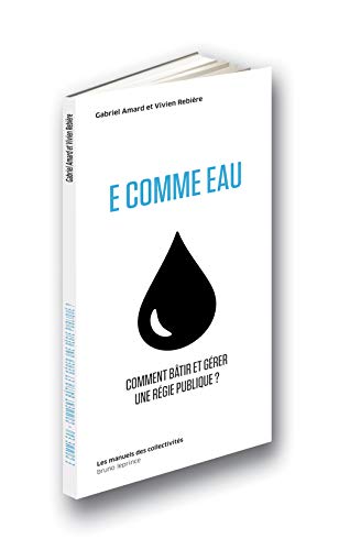 Beispielbild fr E Comme Eau : Comment Btir Et Grer Une Rgie Publique ? zum Verkauf von RECYCLIVRE