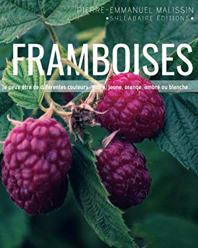 Stock image for Framboises (Cuisine et mets de A  Z) (French Edition) for sale by Book Deals