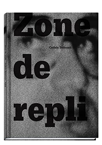 9782365110587: Cedric Delsaux - Zone De Repli