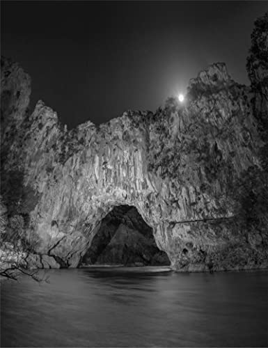 Beispielbild fr Raphael Dallaporte - The Chauvet Cave. 2 Vols. zum Verkauf von Art Data
