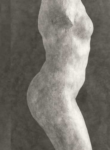 9782365111058: Rodin: Photographs by Emmanuel Berry