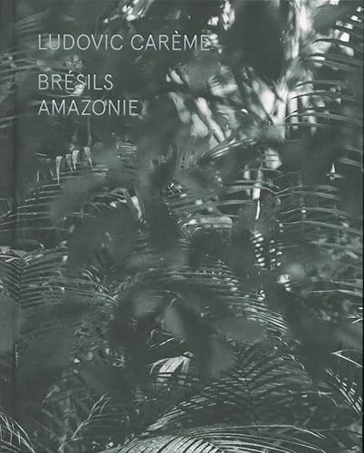 Stock image for Brsils - Amazonie for sale by LIVREAUTRESORSAS