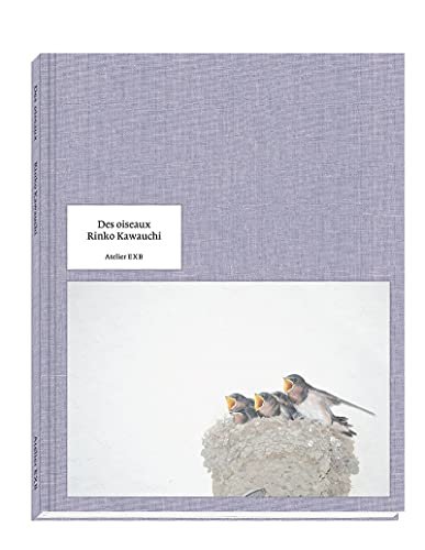 Stock image for Des oiseaux Rinko Kawauchi - version anglaise for sale by Gallix