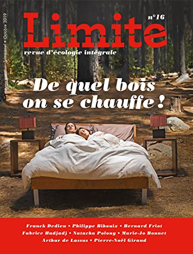 Stock image for DE QUEL BOIS ON SE CHAUFFE ! Limite no 16. LA PUBLICITE [Broch] Comit de rdaction Limite for sale by BIBLIO-NET