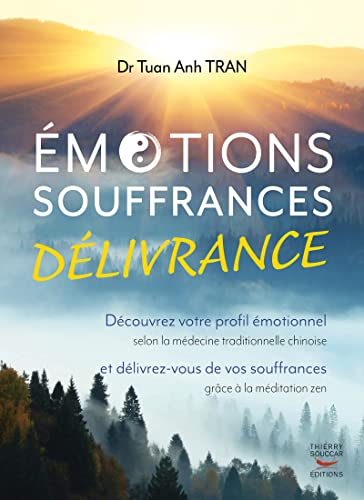 Stock image for Emotions, souffrances, dlivrance - dcouvrez votre profil motionnel for sale by medimops