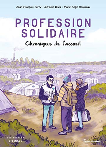 Stock image for Profession solidaire : chroniques de l'accueil for sale by medimops