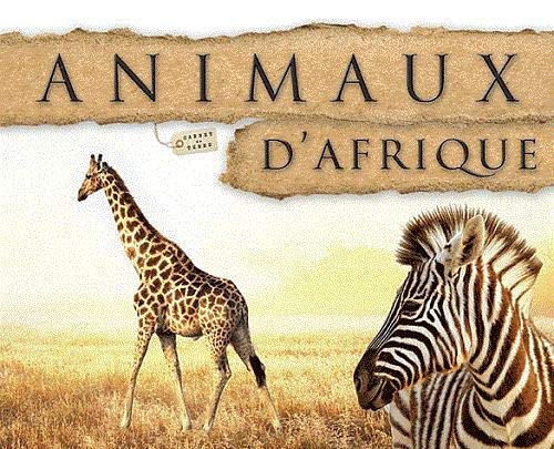 Beispielbild fr Animaux d'Afrique zum Verkauf von Ammareal