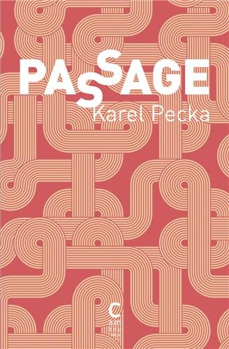 9782366240290: Passage